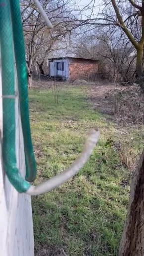 ��� ������ ����, ������� ������� ���������