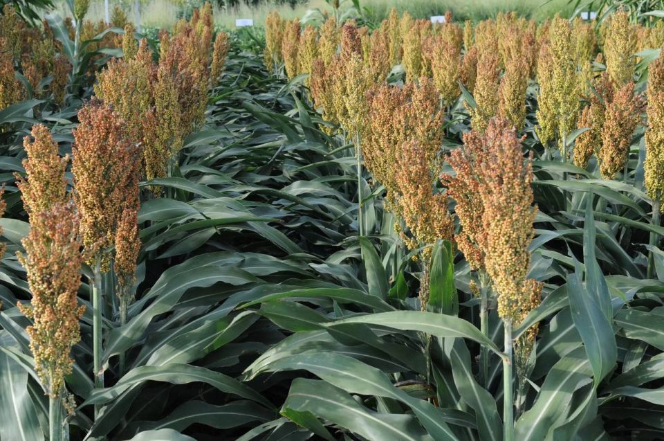 ��� ���������� �� ������ � ������� ������������� ������ �� 40%?