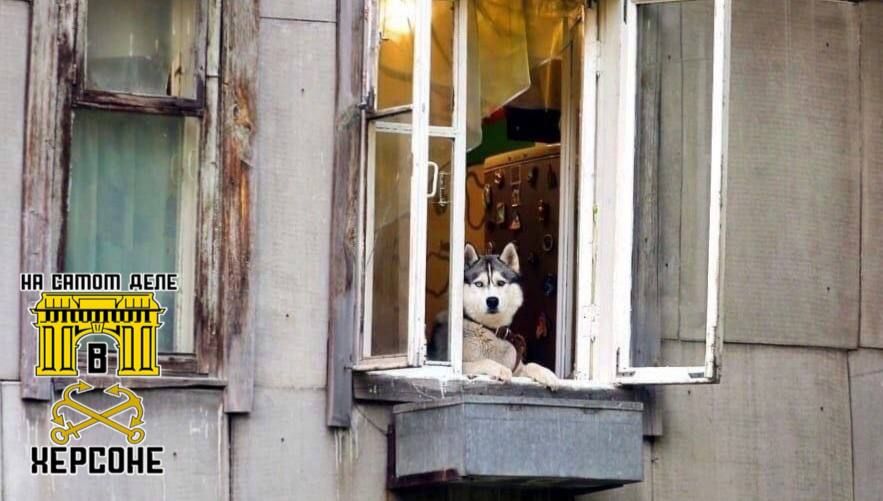 ������ �� �������� ��������� � ��������� ��������� ��������� �� �������� ������