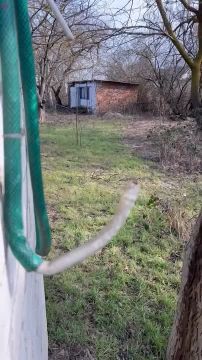 ��� ������ ����, ������� ������� ���������