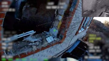 ��������������� �����������