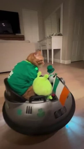 ���������. #���� @NSDVKhersone �����������