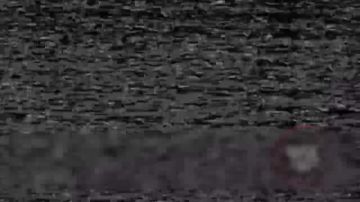 ��������������.. �� ����� ������ ����������� ������� ���� ����������