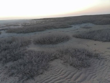 ����� ����������: ������ ����������. �����