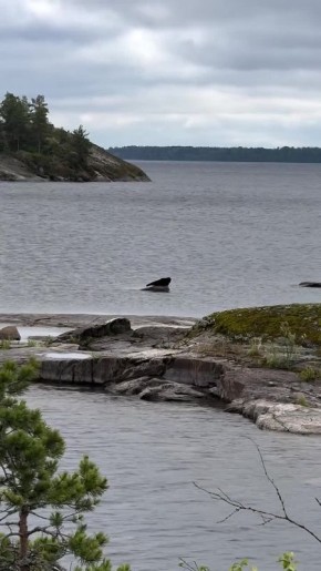 В величественных шхерах Ладожского озера раскрываются тайны карельского архипелага