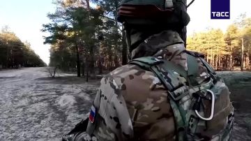 Костромские десантники сбили самонаводящимся дроном-перехватчиком "Елка" украинский беспилотник самолетного типа, сообщили в Минобороны РФ