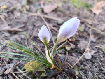 Доброе субботнее утро!. Погода нас радует теплом и солнцем