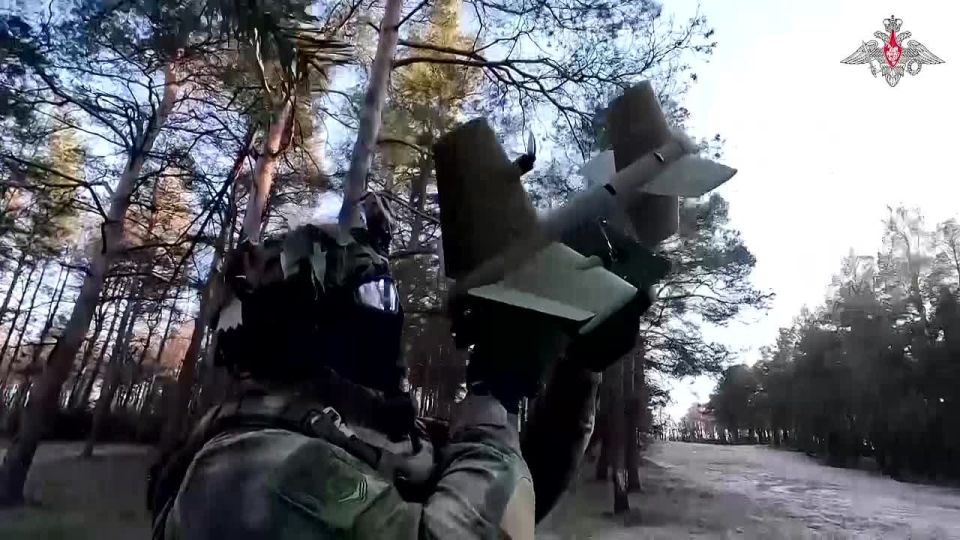 ���������� ������: ��������� �������� ������ ������������ ������������ ���������-���������� ����� ����������� ������������ ���������� ��� ����������� ������ ������ ������ ������� ����-������������ ����� ��������� �������...