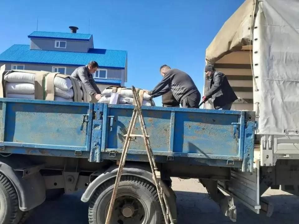 � ����� ������� �������� ��������� ������ ������������ ������