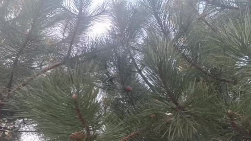 Юлия Семякина: Доброе утро, жители и гости Генического округа!