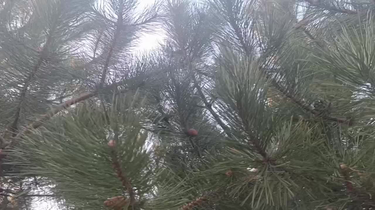 Юлия Семякина: Доброе утро, жители и гости Генического округа!