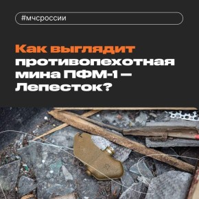 Противопехотная фугасная мина — что о ней надо знать?