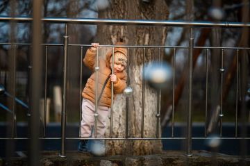 Владимир Сальдо: Весна на Херсонщине — время прогулок, детского смеха и тёплого солнца