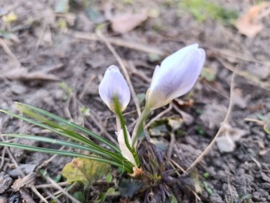 Доброе утро, Херсонщина!. Я из края высоких сосен