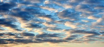 ������ ����, ����������!. ����� �� ����� ������ �� ����