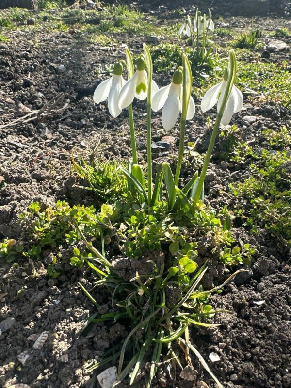 ������ ��� ��� �������!. ������ ��� � ��� ���� � ��������