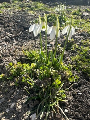 ������ ��� ��� �������!. ������ ��� � ��� ���� � ��������