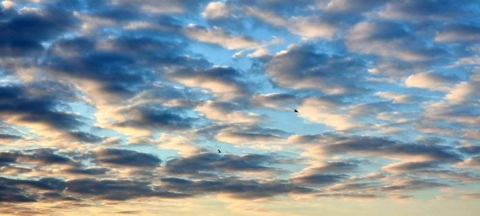 ������ ����, ����������!. ����� �� ����� ������ �� ����