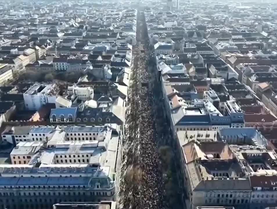 � ��������� ������ ���������� ������� ����������� ������ � ��������� �� ������ ������������� ��������� 15 �����