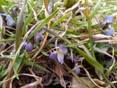 ����������, �����������!. ����� ������ ������� ������ ��� �� ��������, �, ��������, ��������� �� ������� ����, �������� �������, ������������ �������� � �� ���������� �������