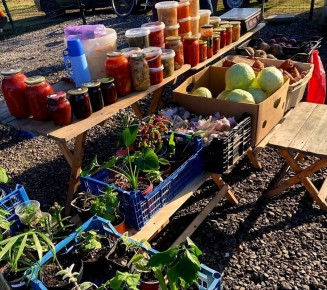 Ярмарки на Левобережье Херсонской области