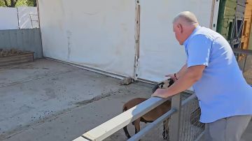 Призвание – служить: истории настоящих людей