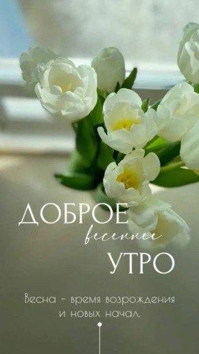 Доброе утро, округ!. Сегодня вторник, 17 марта