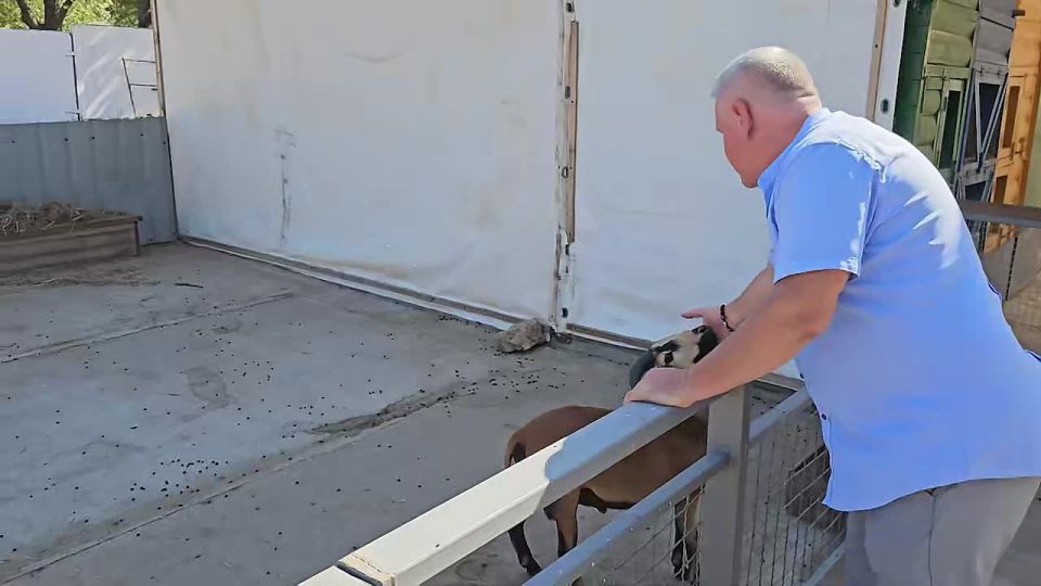 ��������� � �������: ������� ��������� �����