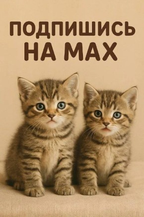 � �������� ������ ����. � ������ ������������� ��� VPN �� ����������� ���� ��������� ���������