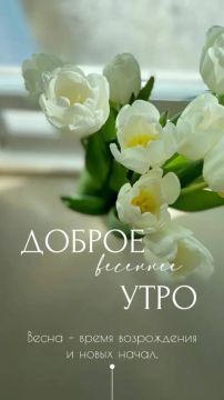 ������ ����, �����!. ������� �������, 17 �����