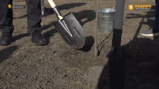 В Геническом парке Афганской Славы высадили "Сад памяти"