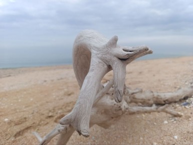 Юлия Семякина: Доброе утро, жители и гости Генического округа!