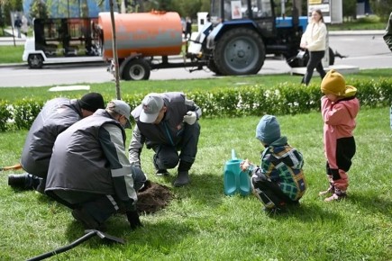 В Геническе высадили аллею из 50 катальп согласно акции «Сад памяти»