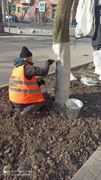 ������ �� ��������������� ����������� ������: ����� ���� ����