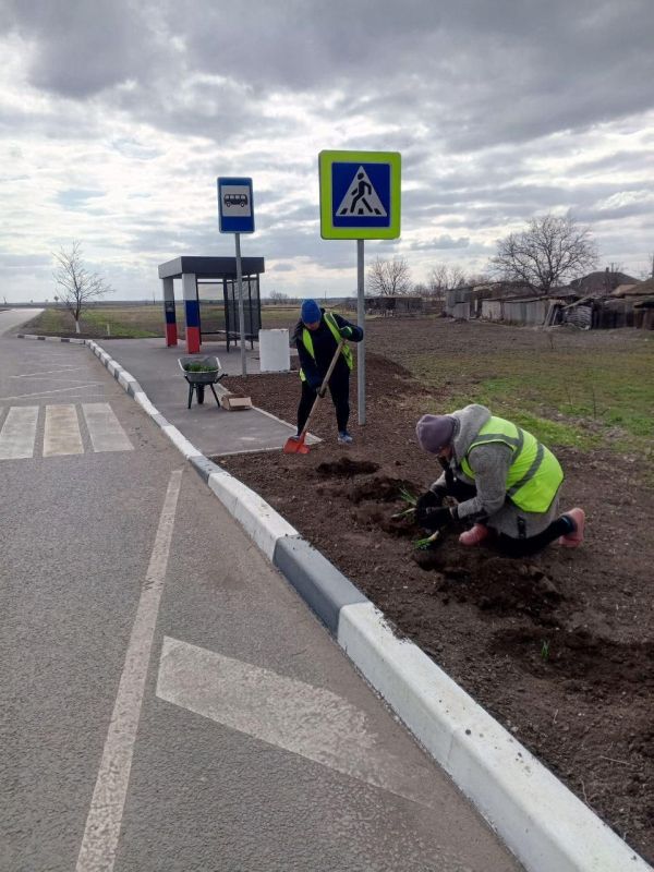 ��������� ��� ������������ ���������� ������ �� ��������� ������� � ��������������� � ���������� ������