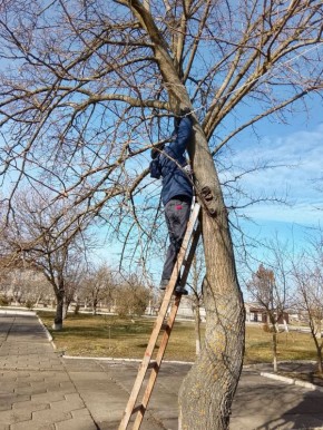 ����� ��������: ����� ��������� ���������������