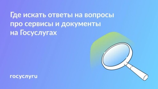Инструкции и ответы — в разделе «Помощь» на Госуслугах