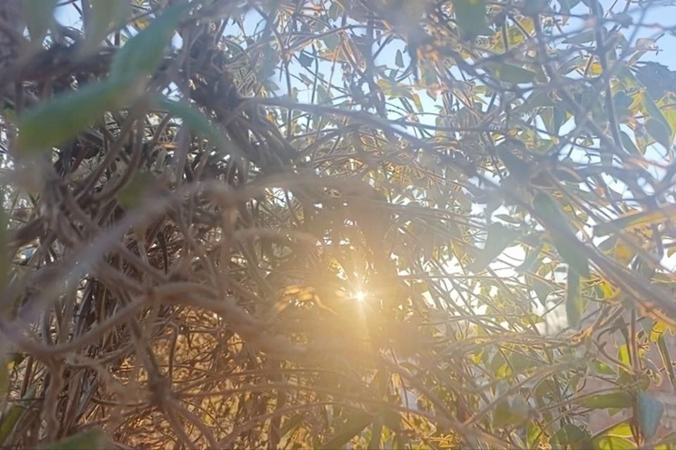 ����� ����� ������ � ���������� ������� 19 ����� 2026 ����