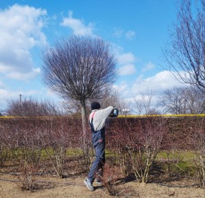 ������������ ��������� ������� ������ ���� ������� �� �����, ����� ������������ ������� � ��������������� ������