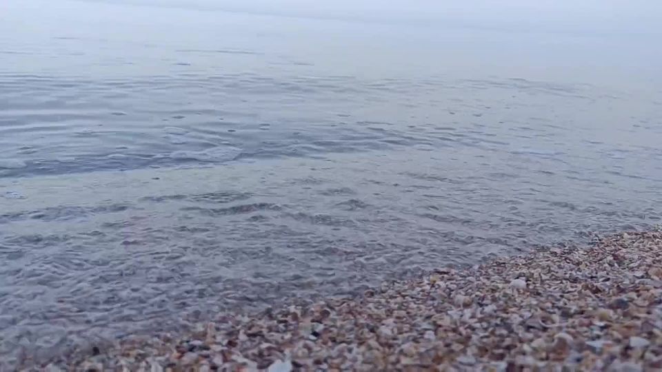 ������ ����, ������ � ����� ����������� ������!