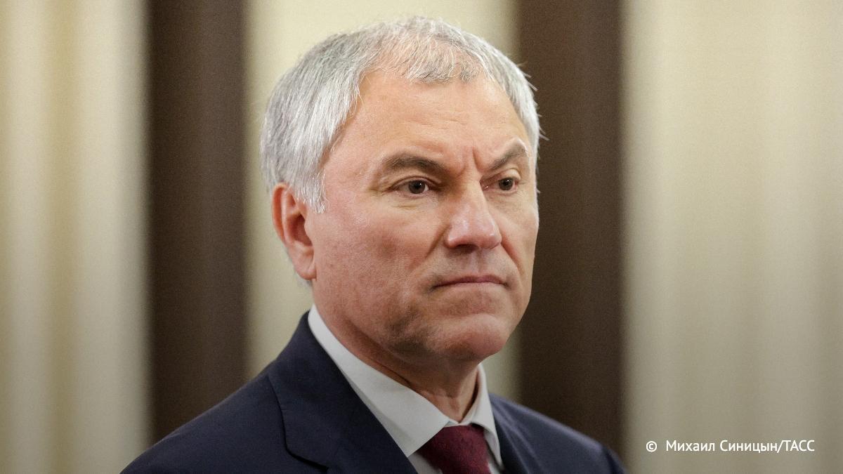 Володин направил в комитет ГД по обороне законопроект, которым предлагается разрешить использовать российскую армию для защиты граждан РФ в случае их ареста, уголовного и иного преследования судами иностранных государств