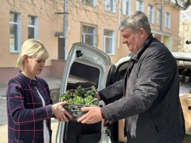 ��������� ��������� �������� ������������ ������ ������� ���������� �������