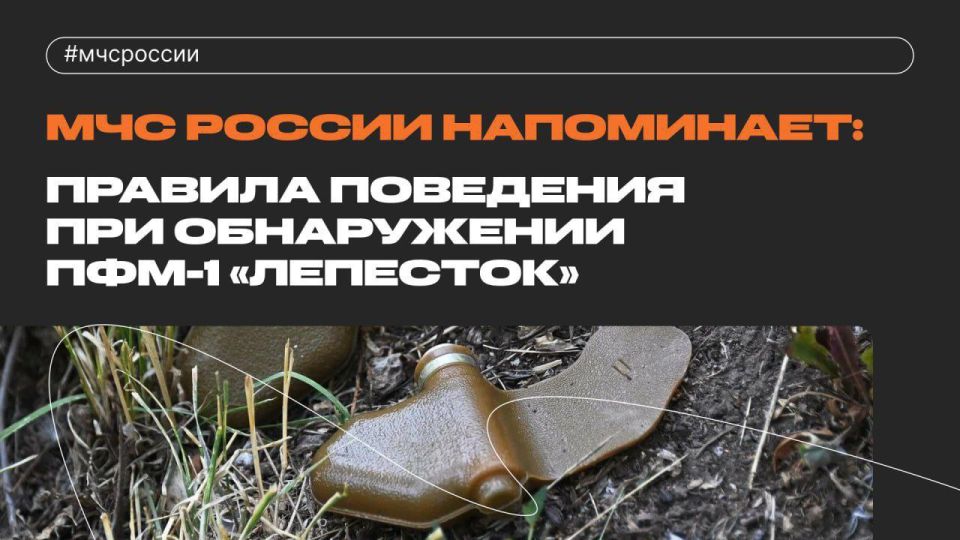 ������� ��������� ��� ����������� ���-1 ���������: ��� ���������� ����� ������ �����