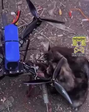 На Херсонщину доставили группу саперов