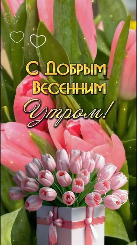 ������ ����, �����!. ������� � 21 �����, �������