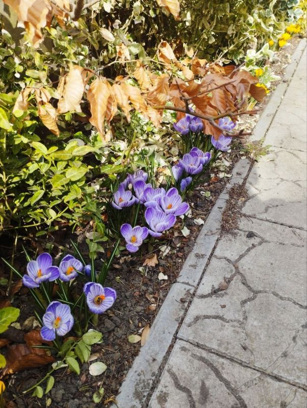 ������ ����, ��������� �����!