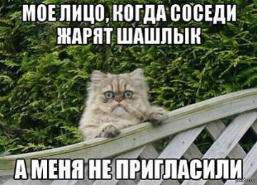 ����� �� 15 000 ����� �������� �� ������������� ������� �� �����