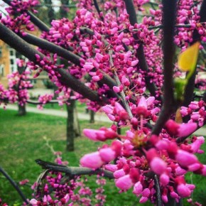 ������ ����, ����������!. �� ���� � ���������� ����