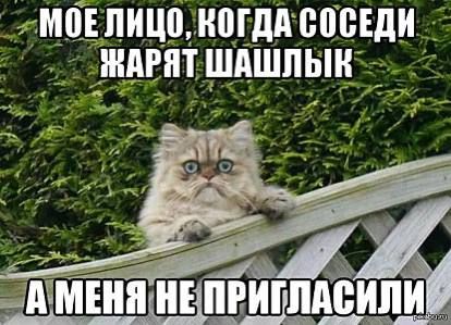 ����� �� 15 000 ����� �������� �� ������������� ������� �� �����