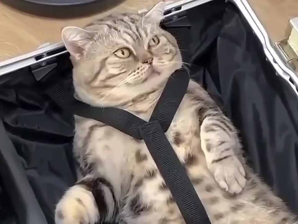 ����� ������� �� �����!. #���� @NSDVKhersone �����������